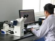 Metallographic Microscope